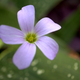 Illustration for article titled 21 Stupendous Photos of Spring